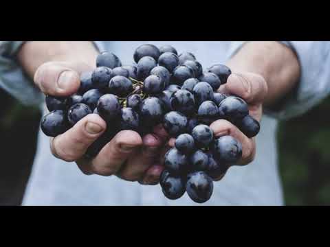 Vrgorac u mojoj duši