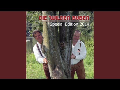 Special Hitmix (Schneewalzer / Herzilein / Wieder alles im Griff / Party Palmen Weiber und 1...