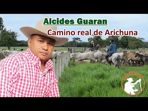 🟢 Camino real de Arichuna - Alcides Guaran | @MusicaLlaneraCO 🤠
