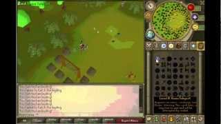 HeroScape | How To Make Money | A Place For Hero's.