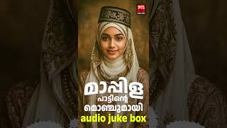 Download lagu ബദ്റിൻറെ ചാരത്ത്  | mappila songs  #mappilappattukal #madhsong #mappilajukebox mp3