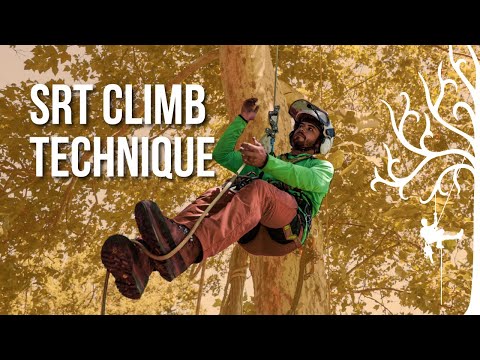 How to climb SRT / SRS | beginner tree climbing | stationary rope system | Arborist tips/tricks