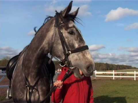 Słajszewo lato morze.wmv