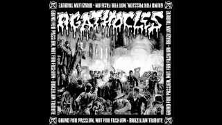 Banni Conflict - Cracking Up Solidarity  (Agathocles - Cover)