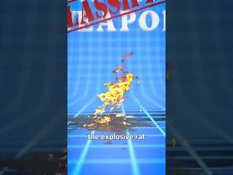 The WWII Explosive Rat 🤯