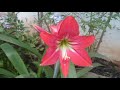 Arul Deepame Annaiya Villakke Christian Songs
