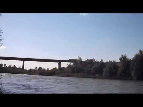 MARK KNOPFLER, new, TIME WILL END ALL SORROW, BONUS TRACK from His Majesty