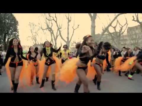 REPORTAGE (Extraits) : Carnaval de Montpellier / #MontpelCarnival - Janv. 2015