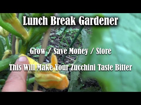 , title : 'Bitter Tasting Zucchini's?? The Most Common Cause   | Lunch Break VLOG #38'