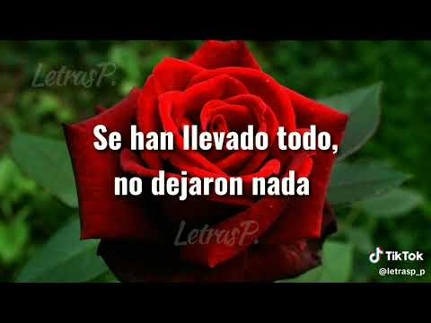 Rosa Marchita Letra | Jaziel. LetrasP.