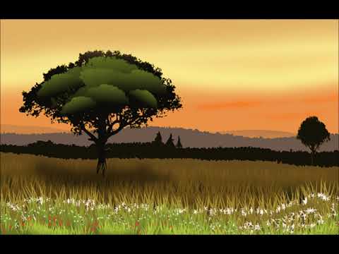 Wenn die Herrlichkeit des Herrn erscheint