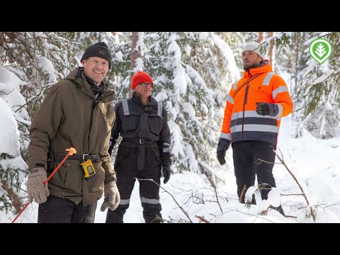 Jatkettua vai jatkuvaa kasvatusta?