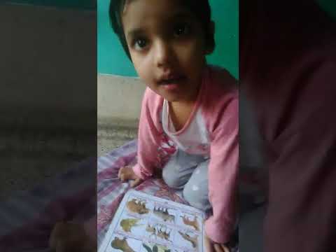 Animals name || Reading English || Lubabah cute baby 💖💞