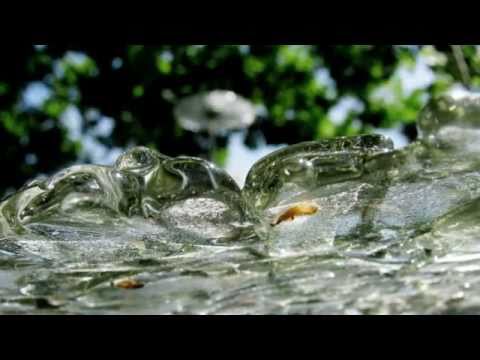 Kulturundum Attiswil