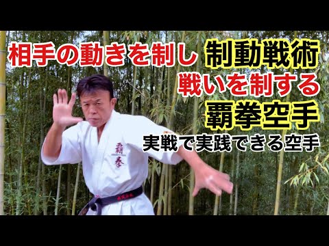 【相手を制する制動戦術】究極の崩し技『覇崩』Happou・最大限に力を導き出す『豹動流』Hyoudoluを使って相手の打撃を封じ込む制動戦術 覇拳空手の術技を館長、伊与田が お見せします！