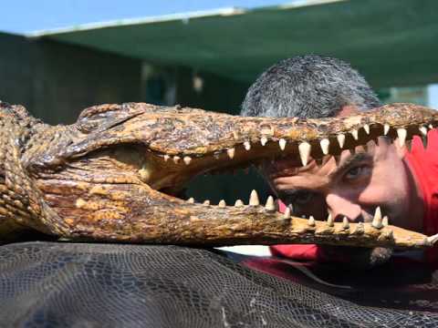 Nationala Artistilor Fotbalisti Romania Artists Football World Cup Iran 2016 Queshm Island