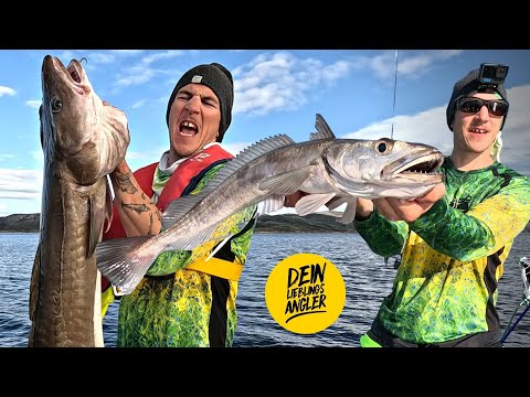XXL PREDATOR FISH while hake fishing in Norway!!! (Hake, Ling, Tusk & Shark)