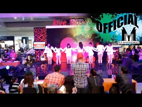 140216 AourorA ( cover AOA ) - Get Out + Elvis + Miniskirt at Final K-pop MICHIGO