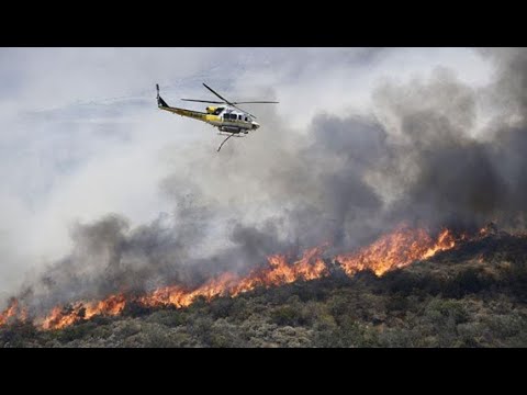 Declaran Alerta Roja en Tirúa por incendio forestal.