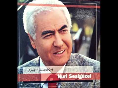 NURİ SESİGÜZEL   - KAZ MEZARCI