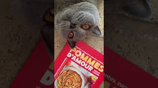 Si Scotty vous le dis …