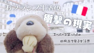 【日用品から見る】おフランス生活の衝撃の現実【スーパー購入品紹介】