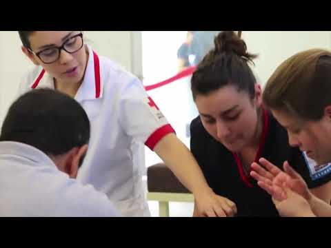 11. Acciones por un desarrollo sostenible.