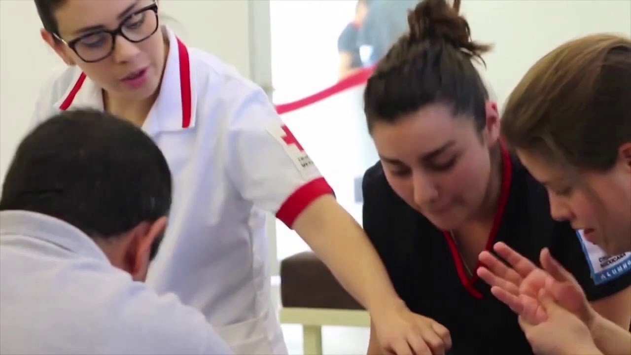 11. Acciones por un desarrollo sostenible.