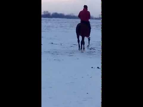 Boboteaza Valea Ciorii 2015 calarie 2