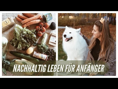 WIE FÜHRT MAN EIN NACHHALTIGES LEBEN?