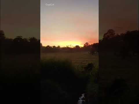 Desde Cactus 🌵 Atardecer en Urabá 🌅 | Carepa Antioquia