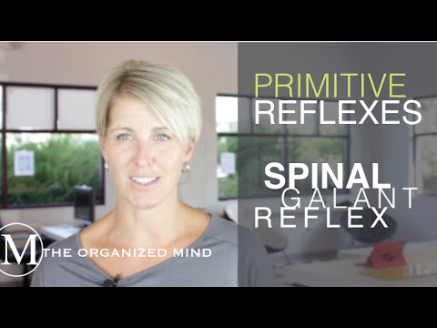 Primitive Reflexes-  Spinal Galant