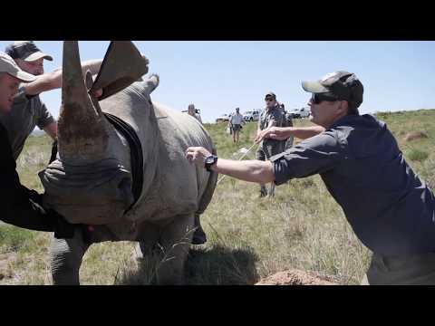 Amakhala Game Reserve - Conservation Fund