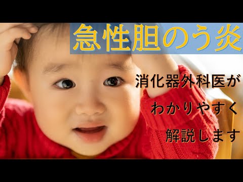 胆嚢について詳しく解説