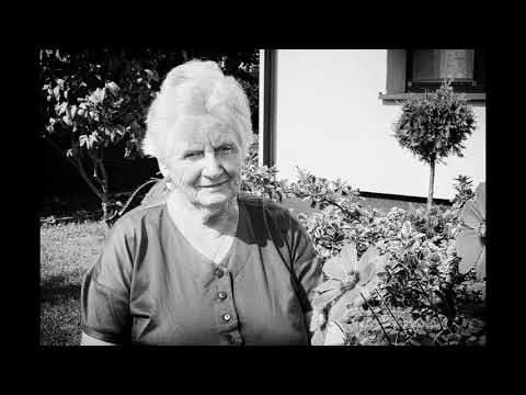 Rozgłos 2020 - Alina Sienkiewicz - Wieczór wiosenną porą