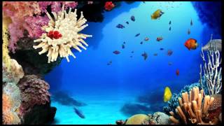 Barcelona Please Don&#39;t Go - theme from PS3