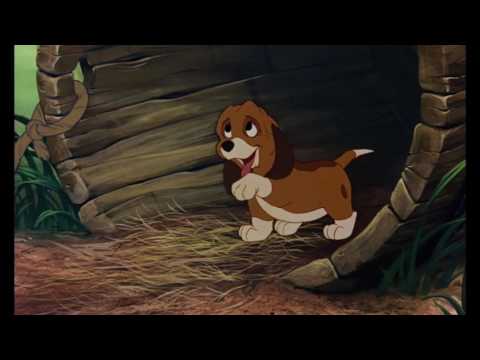 Beauty and the Grizzly Bear - Part 6 Pops Arrives at the Castle