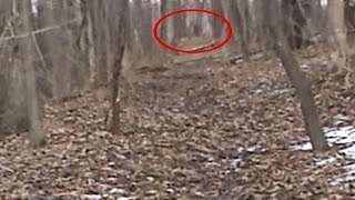Bigfoot Sighting, The Maine Ridge Monster