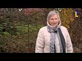 Ongerwaeg en dn Broabander in Venray - 23 december 2020