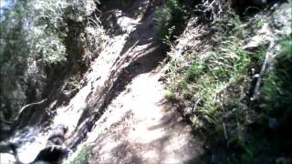part 1 - Colby Canyon Trail descent to Strawberry Meadow & beginning of Strawberry Peak Trail