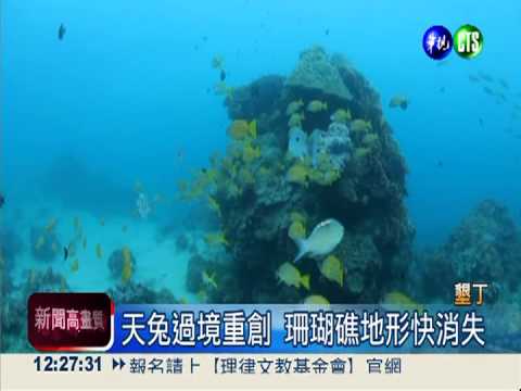 天兔颱風重創墾丁 珊瑚慘不忍睹