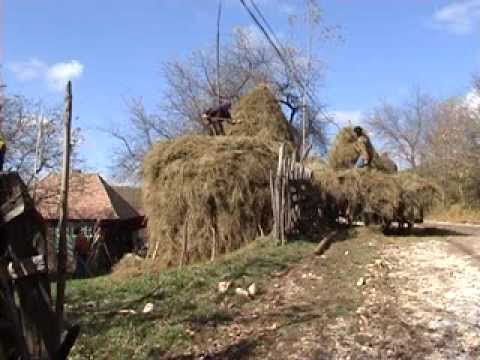 Trascau Ramet Octombrie 2013