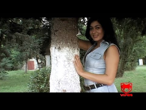 Luminita Puscas - Mai raman un minut