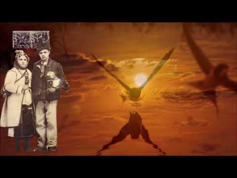 Pe socacu al śe mi drag- Moșu Bâz (Slobodan Marković)