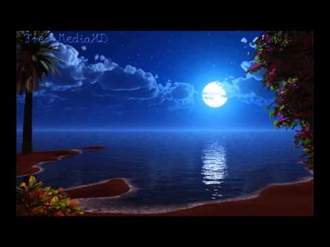 Saxity & Sean Bradford Up All Night audio edit