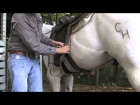 How to Saddle a Horse