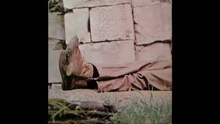 James Taylor - Sunshine Sunshine