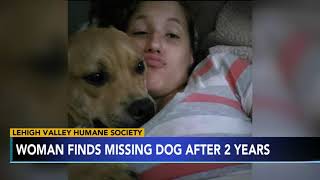 2 YEARS LATER: Woman finds missing dog while looki