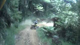 preview picture of video 'Raglan MCC Nelsons Trail Ride December 2009'