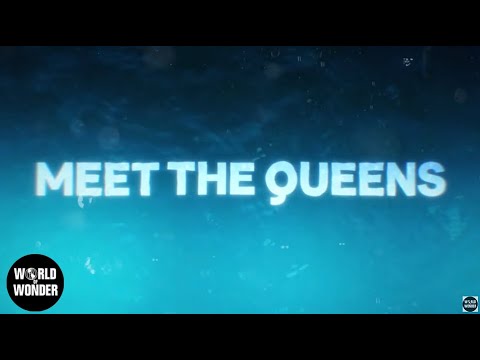 afbeelding Meet the Queens of RuPaul's Drag Race Season 17 👑